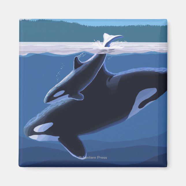 Whidbey Island, WashingtonOrca and Calf Magnet (Front)