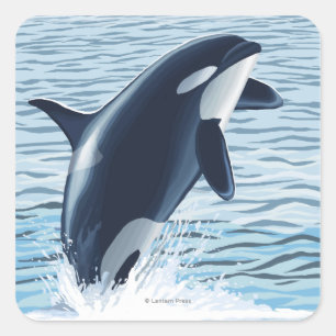 Whidbey Island, WashingtonOrca Jumping Square Sticker