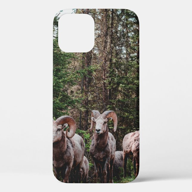 WHILE DRIVING ALONG THE BOW VALLEY PARKWAY IN BANF Case-Mate iPhone CASE (Back)
