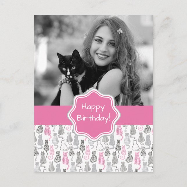 Whimiscal Pink and Gray Sketch Cat Gift Ideas Postcard (Front)