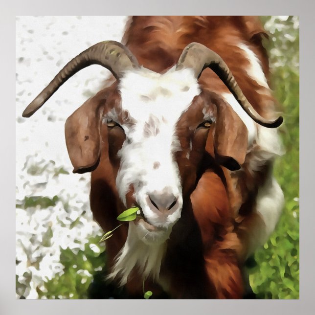 Whimsical Artistic Portrait Of A Goat Grazing Poster (Front)