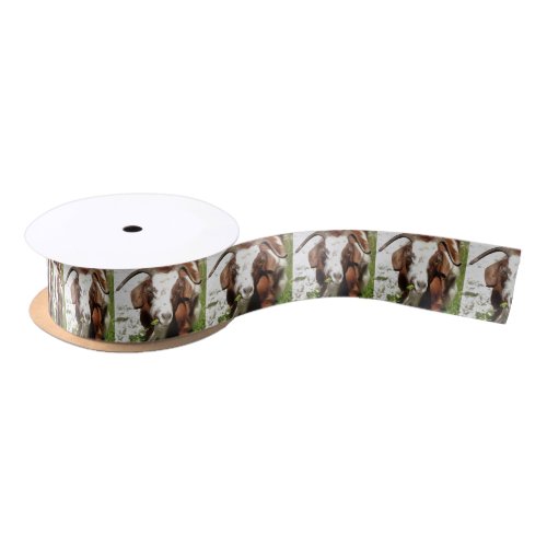 Whimsical Artistic Portrait Of A Goat Grazing Satin Ribbon