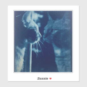 whimsical Blue Bubba Cat Photography Sticker