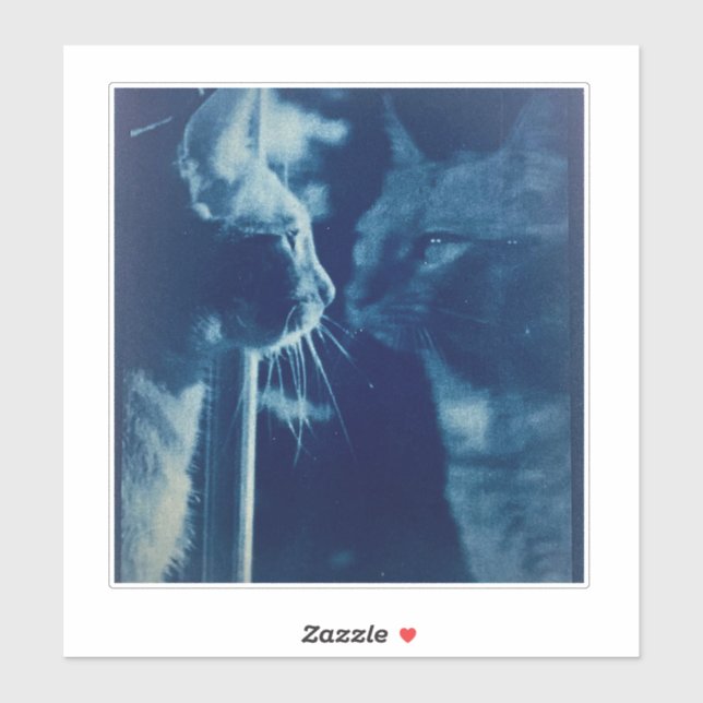 whimsical Blue Bubba Cat Photography Sticker (Sheet)