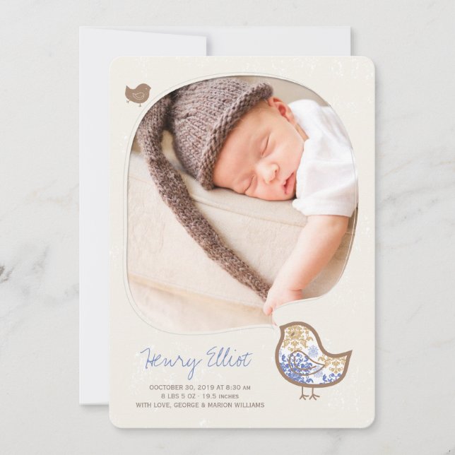 Whimsical Blue Damask Chick Baby Boy Photo Birth Announcement (Front)