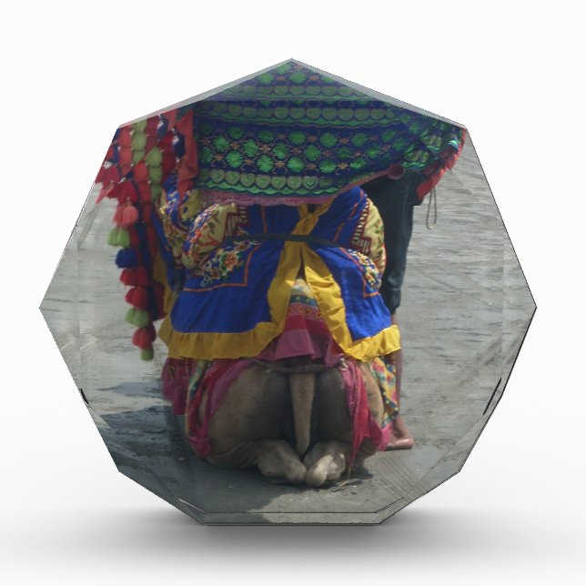 Whimsical Camel Art Print/Graphic Acrylic Award (Front)