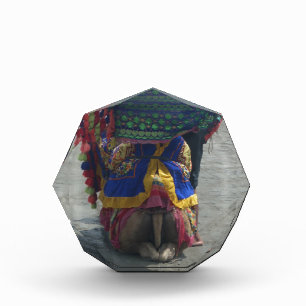 Whimsical Camel Art Print/Graphic Acrylic Award