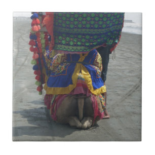 Whimsical Camel Art Print/Graphic Ceramic Tile