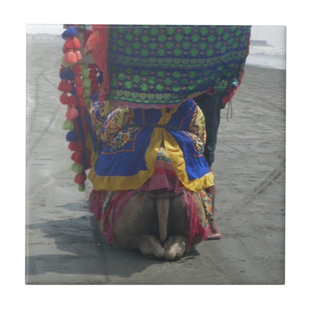 Whimsical Camel Art Print/Graphic Ceramic Tile (Front)