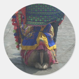 Whimsical Camel Art Print/Graphic Classic Round Sticker