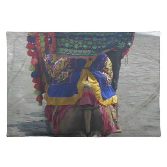 Whimsical Camel Art Print/Graphic Cloth Placemat (Front)