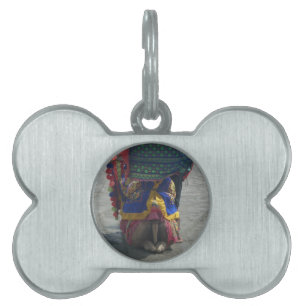 Whimsical Camel Art Print/Graphic Pet Name Tag