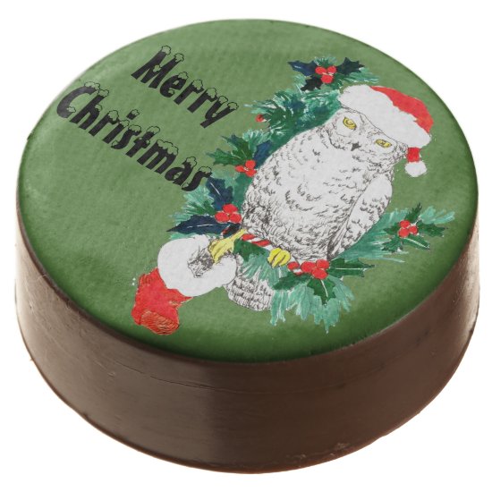 Whimsical Christmas Owl Stocking Designed Chocolate Dipped Oreo