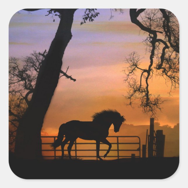 Whimsical Country Horse Stickers (Front)