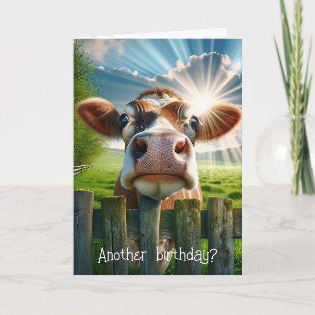 Whimsical Cow Birthday Humor Card (Front)