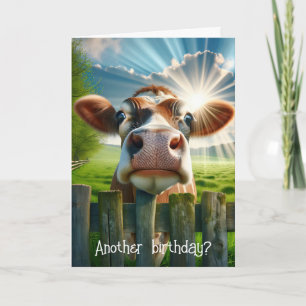 Whimsical Cow Birthday Humor Card