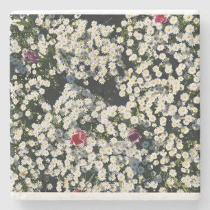 Whimsical Daisy Meadow Coaster Set