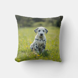 Whimsical Dalmatian  Throw Pillow