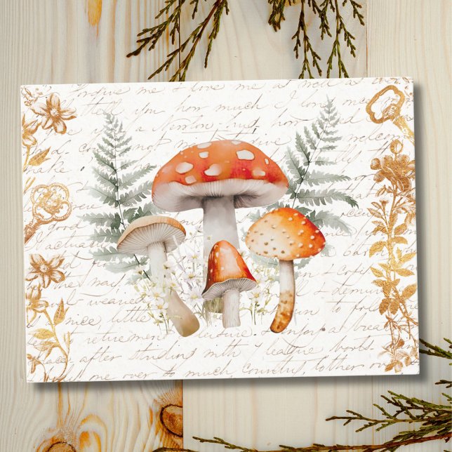 Whimsical Forest Mushroom Vintage letter Farmhouse Postcard (In situ wood table)