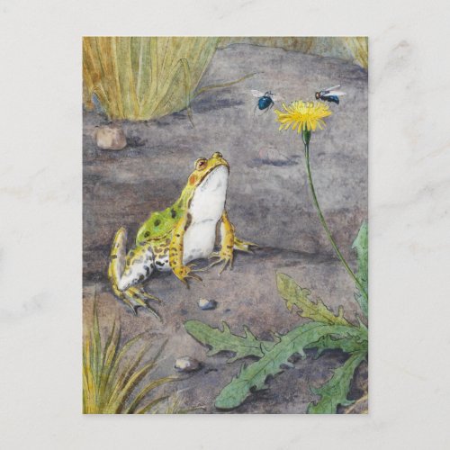Whimsical Green Frog with Flies on a Yellow Flower Postcard