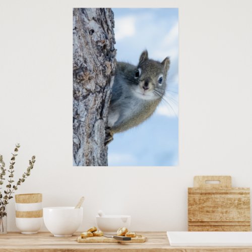 Whimsical Grey Squirrel Poster