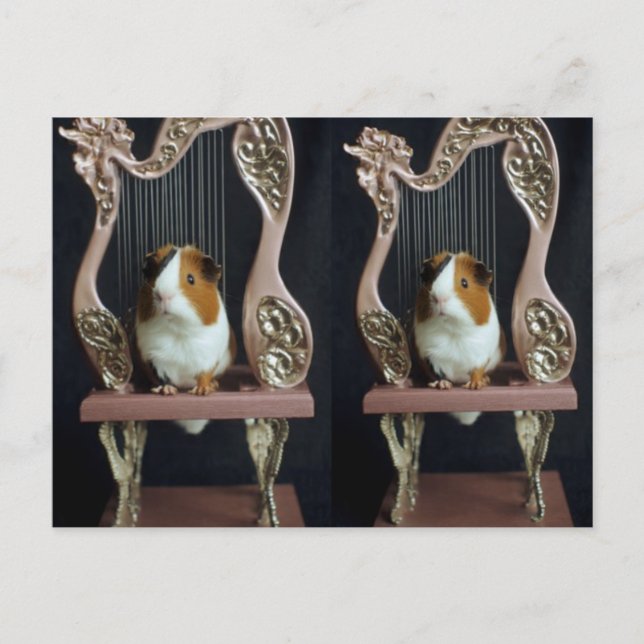 Whimsical Guinea Pig Harp Postcard – Elegant Story (Front)