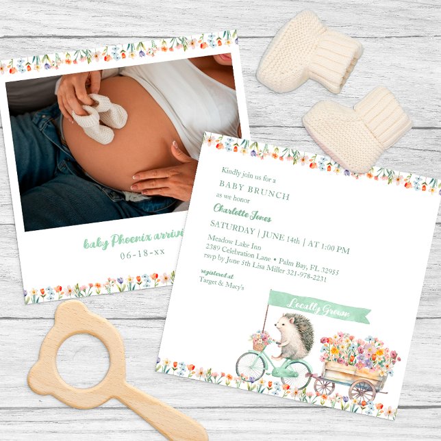 Whimsical Hedgehog Baby Shower Photo Invitation (Whimsical Hedgehog Baby Shower Invitation)