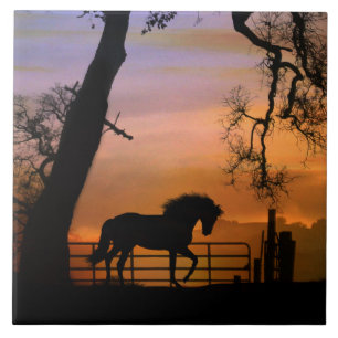 Whimsical Horse Art Tile, Pretty Southwestern Ceramic Tile