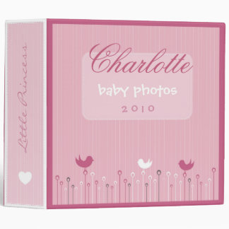 Whimsical Love Birds Binder
