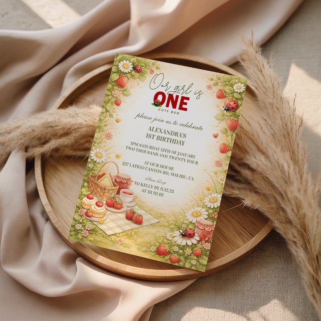 Whimsical Meadow Lady Bug 1st Birthday Invitation (Creator Uploaded)