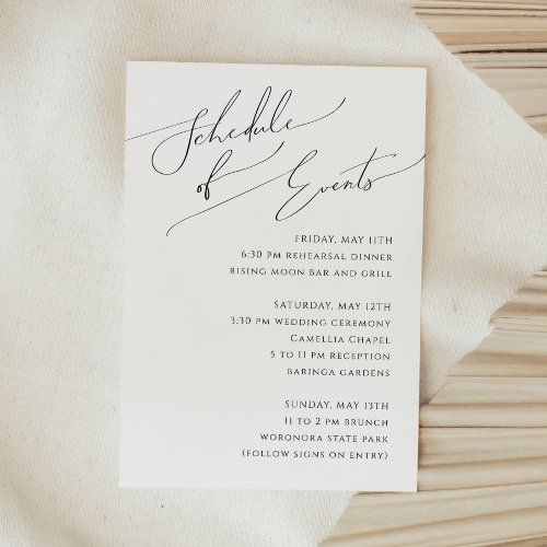 Whimsical Minimalist Script Schedule of Events Enclosure Card
