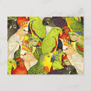 Personalized Parrot Gifts On Zazzle