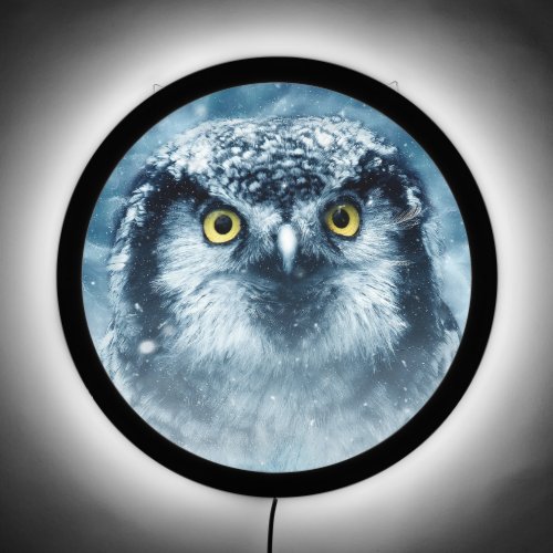 Whimsical Northern Hawk Owl  LED Sign