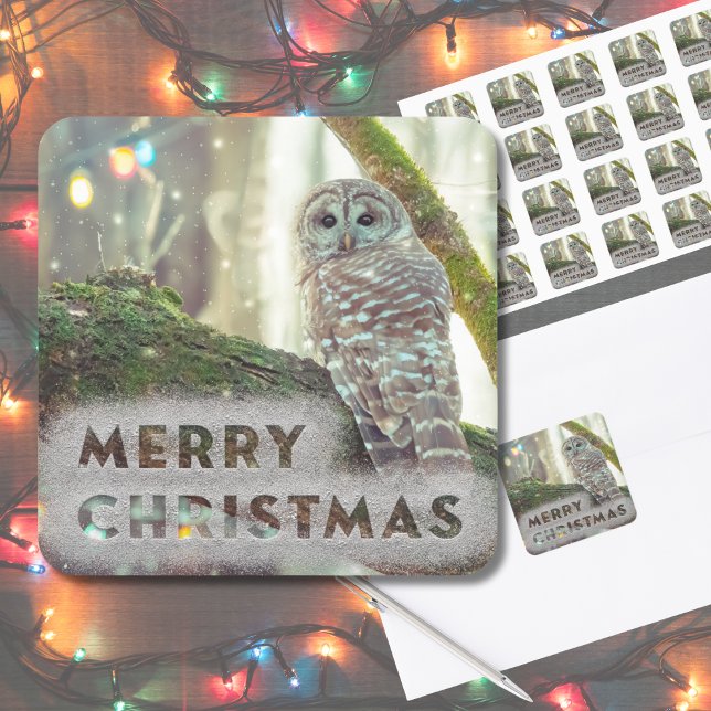 Whimsical Owl in Winter Merry Christmas Square Sticker (Original nature photography made "magical" with some editing. This owl is perfect for your cards.)