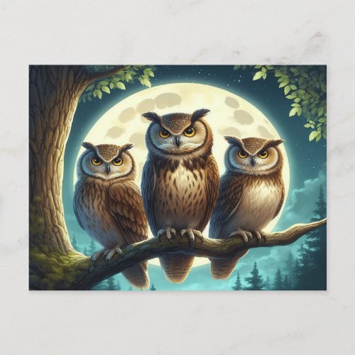 Whimsical Owl Trio Postcard