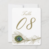 Whimsical Peacock Feather Table Number Card (Back)