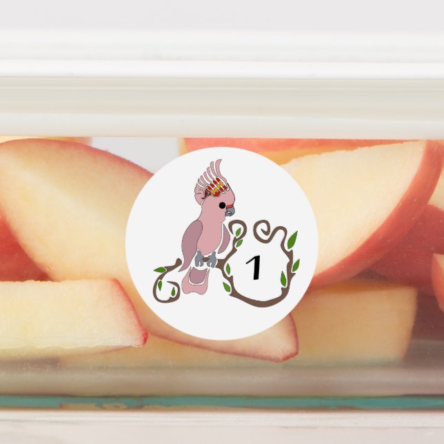 Whimsical Pink Cockatoo Monogram Labels (Affixed)