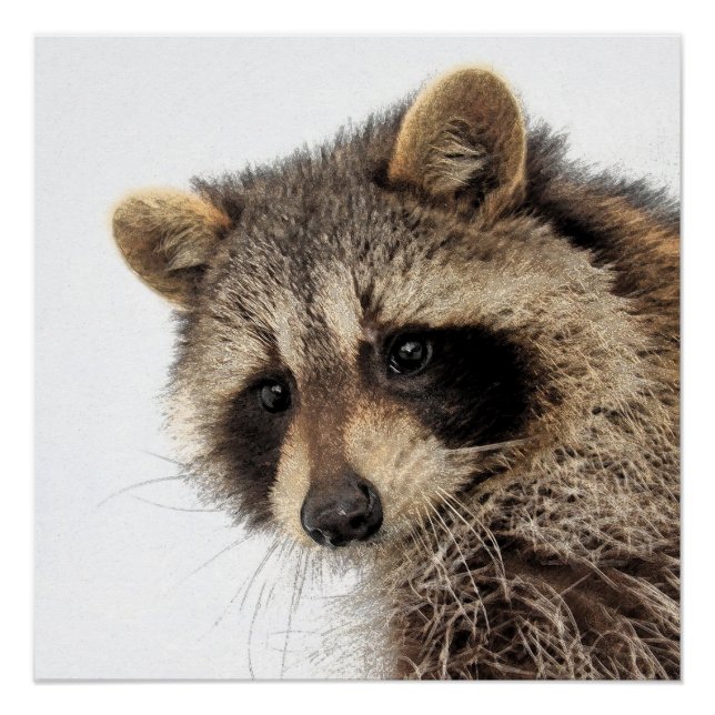 Whimsical Raccoon Glossy Poster (Front)