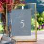 Whimsical Script | Dusty Blue Table Number