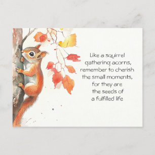 Whimsical Squirrel  Postcard