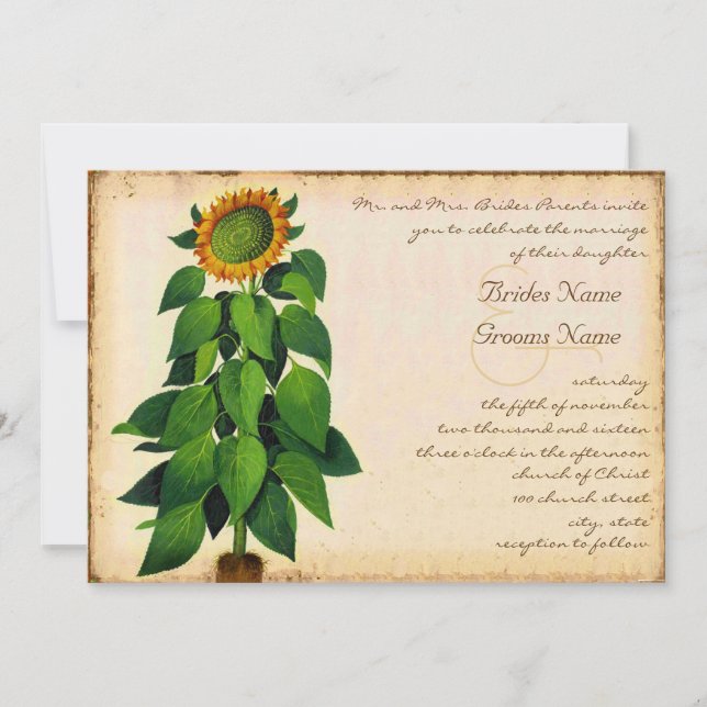 Whimsical Sunflower Wedding Invitation Ivory (Front)