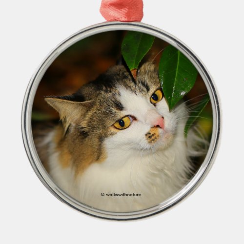 Whimsical The Cat and the Camellia Metal Ornament