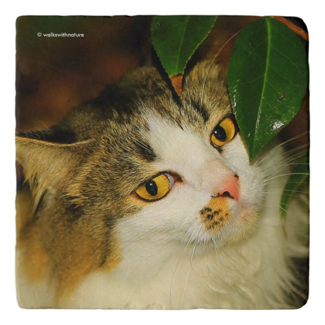 Whimsical The Cat and the Camellia Trivet (Front)