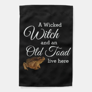 Whimsical Wicked Witch and Old Toad  Garden Flag