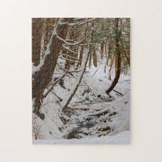 Whimsical Wintry Wooded Creek Bed Scene