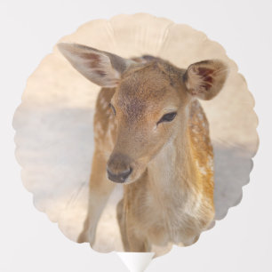 Whimsical Woodland Deer Photography Balloon