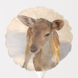 Whimsical Woodland Deer Photography Balloon