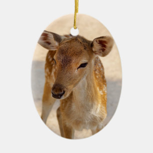 Whimsical Woodland Deer Photography Ceramic Ornament