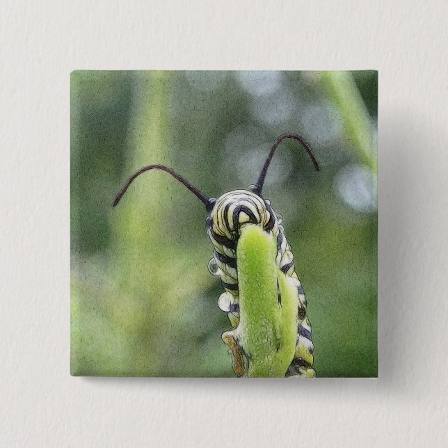 Whimsical Young Monarch Butterfly Caterpillar Button (Front)