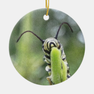 Whimsical Young Monarch Butterfly Caterpillar Ceramic Ornament
